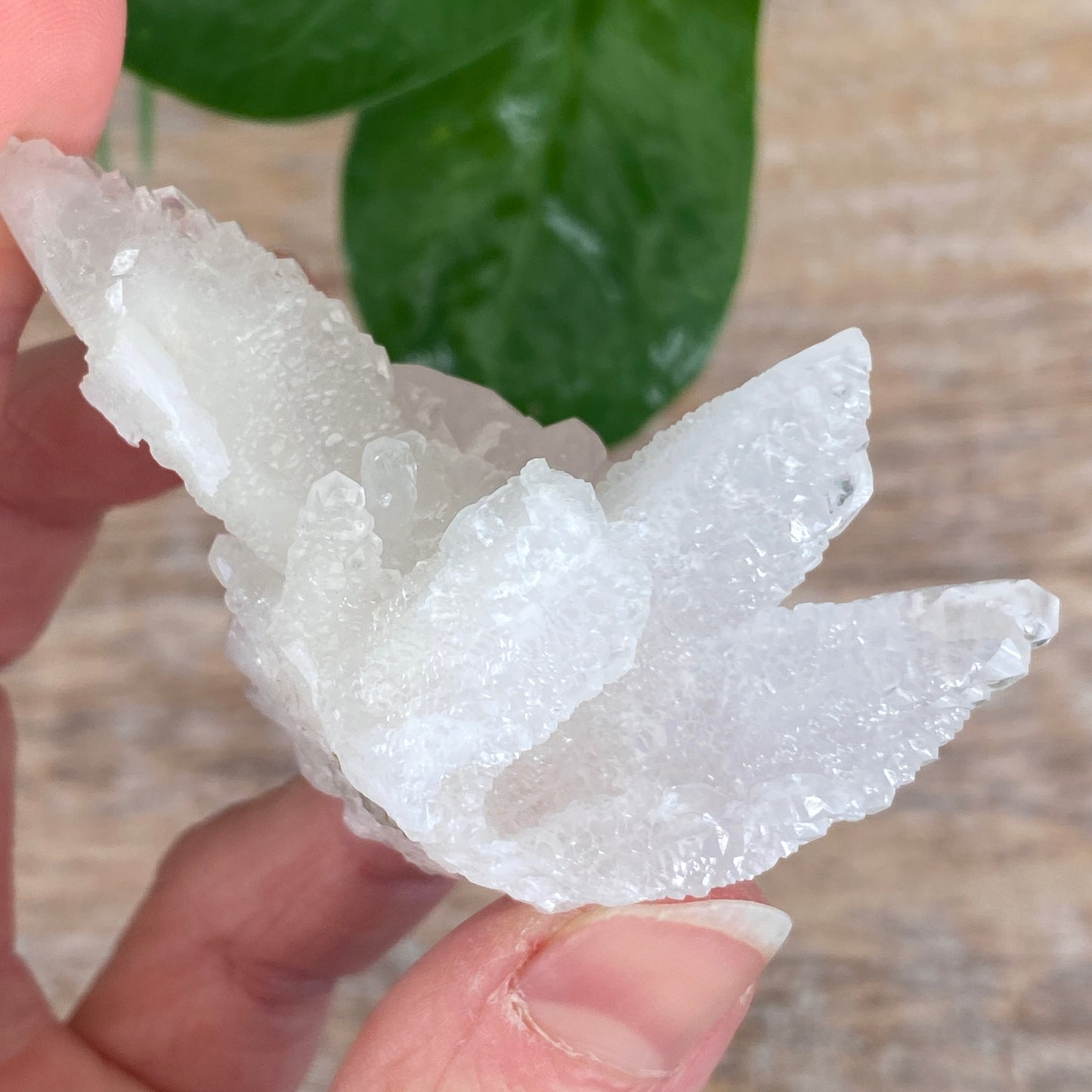 Pink Feather Calcite, New Deposit