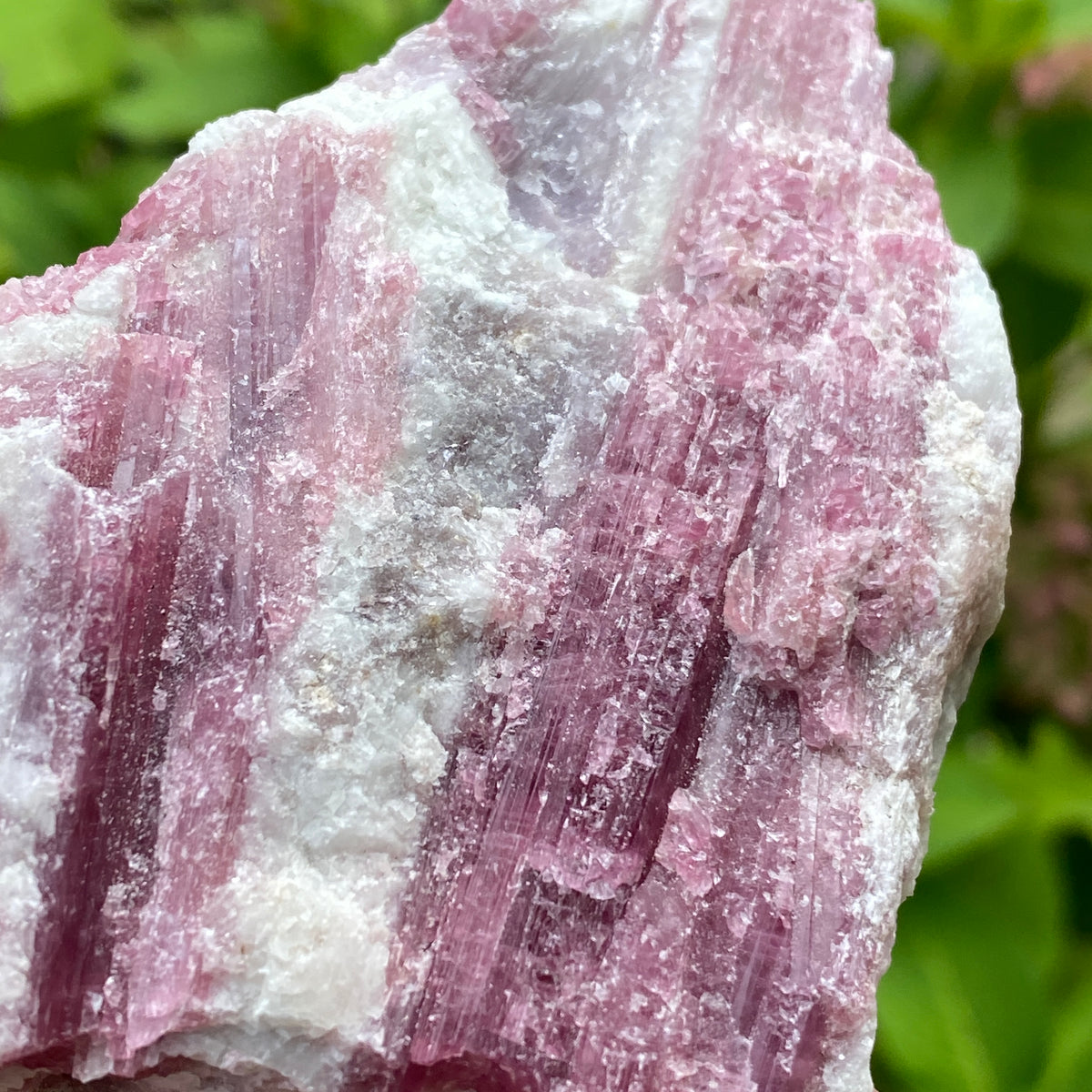 Pink Tourmaline in Quartz