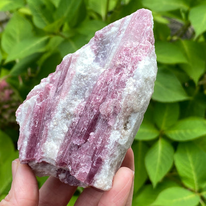 Pink Tourmaline in Quartz