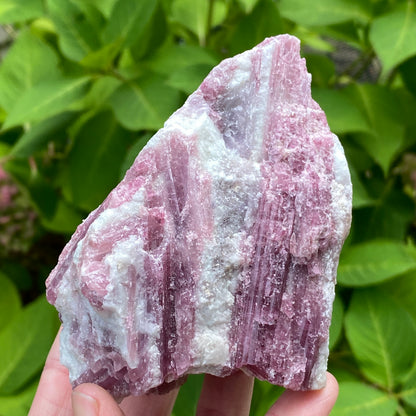 Pink Tourmaline in Quartz