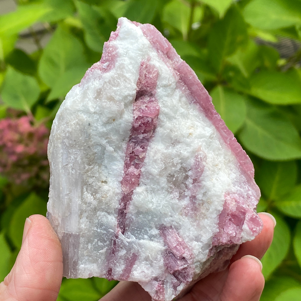 Pink Tourmaline in Quartz