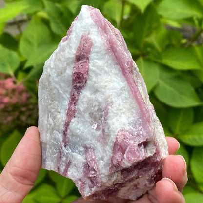 Pink Tourmaline in Quartz