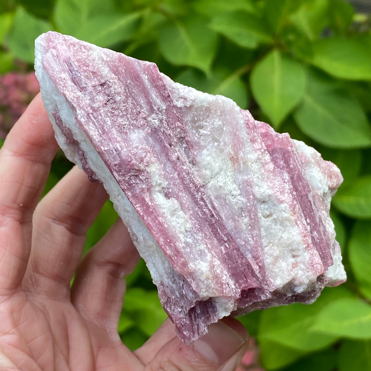 Pink Tourmaline in Quartz