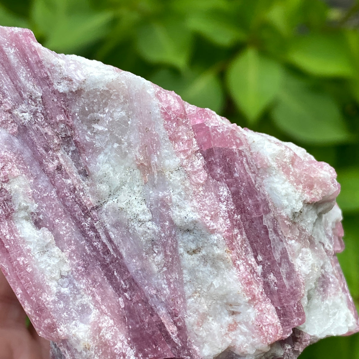 Pink Tourmaline in Quartz