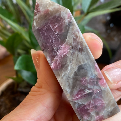 Pink Tourmaline Point