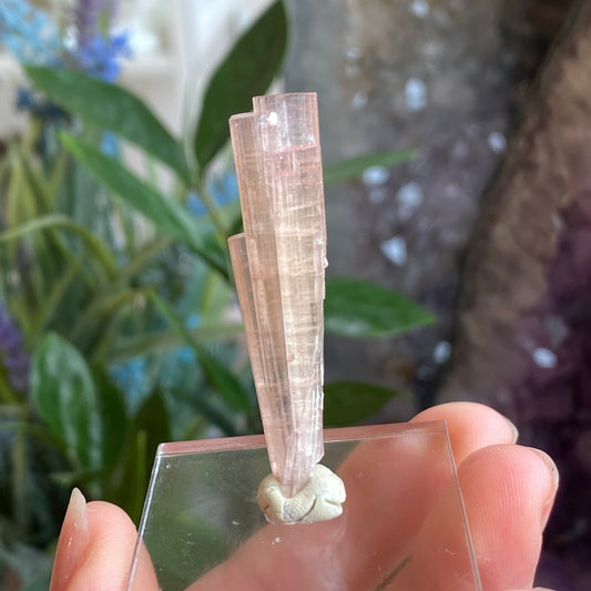 Pink Tourmaline