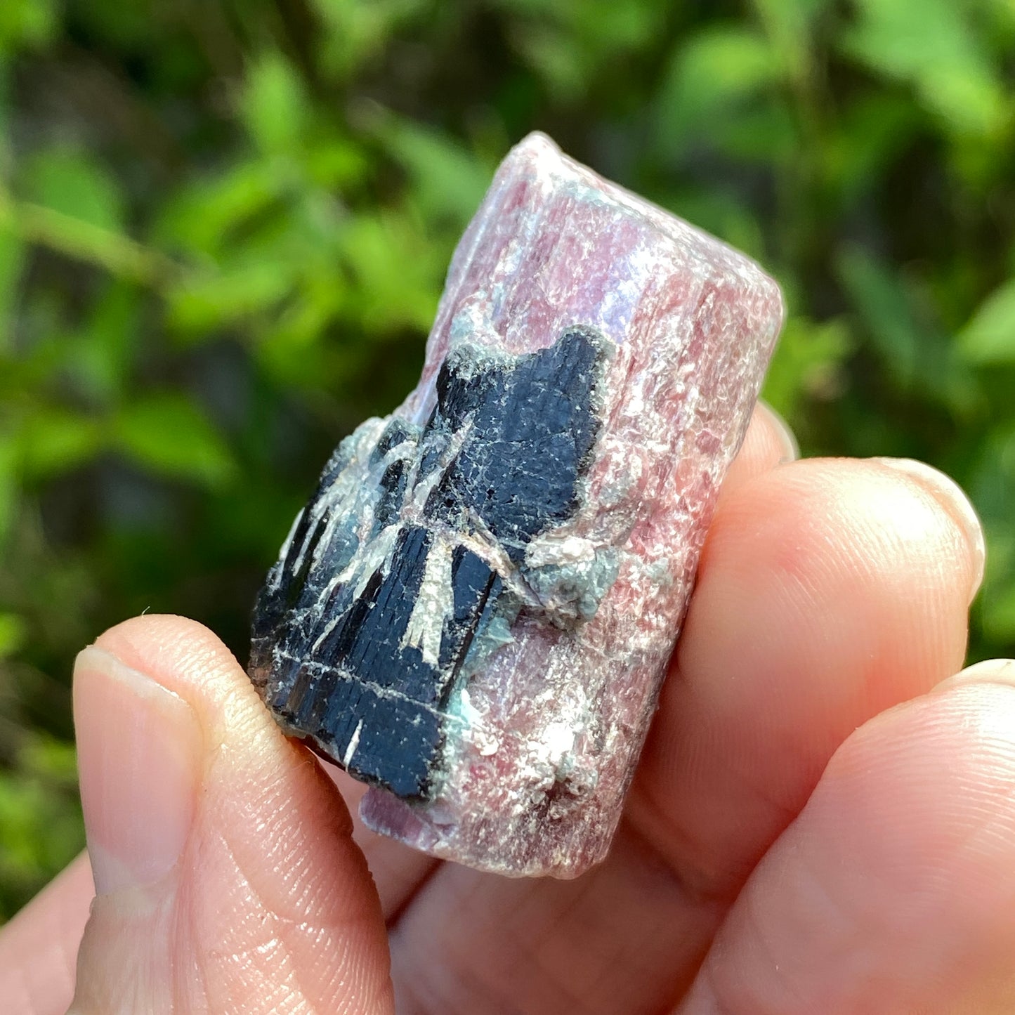 Rough Pink Tourmaline with Mica, Paribas
