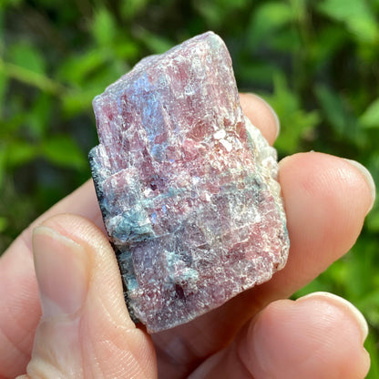 Rough Pink Tourmaline with Mica, Paribas