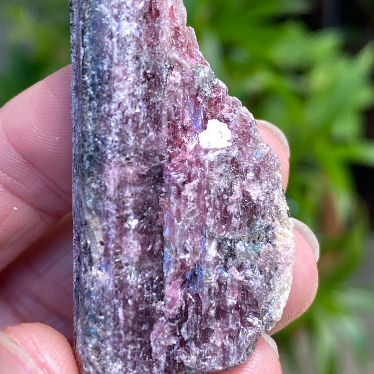 Rough Pink Tourmaline with Mica, Paribas