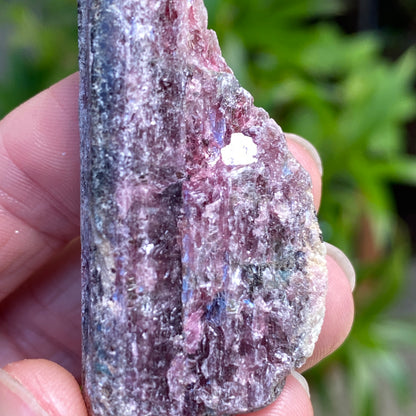 Rough Pink Tourmaline with Mica, Paribas