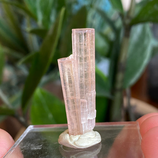 Pink Tourmaline