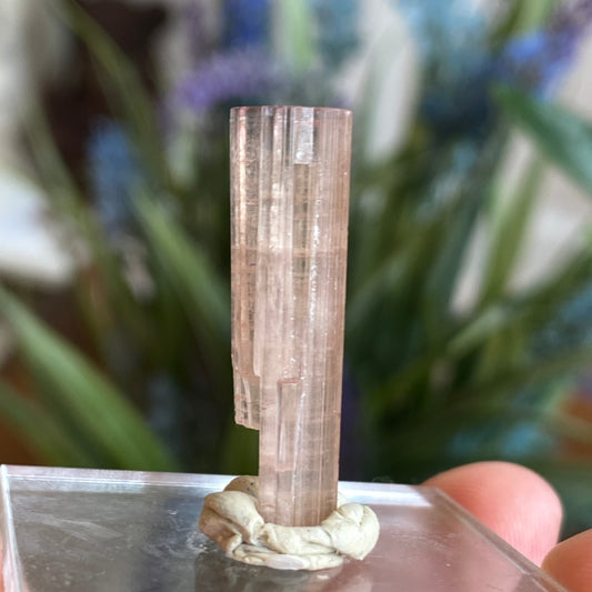 Pink Tourmaline