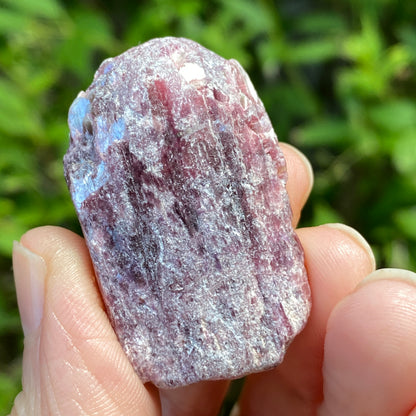 Rough Pink Tourmaline with Mica, Paribas