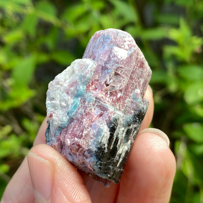 Rough Pink Tourmaline with Mica, Paribas