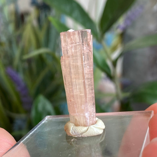 Pink Tourmaline