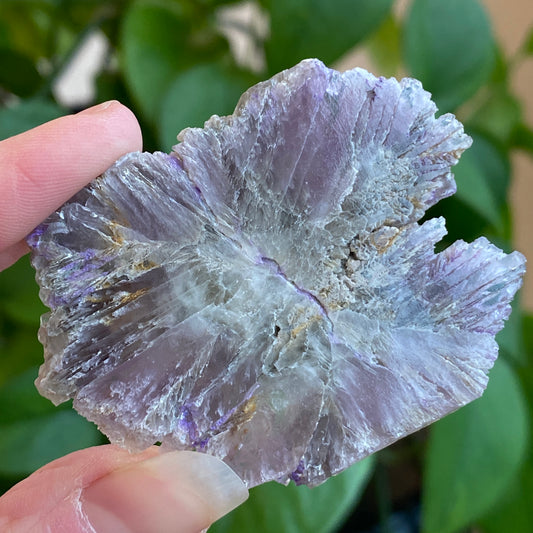 Purple Aragonite Crystal Slice, Spain