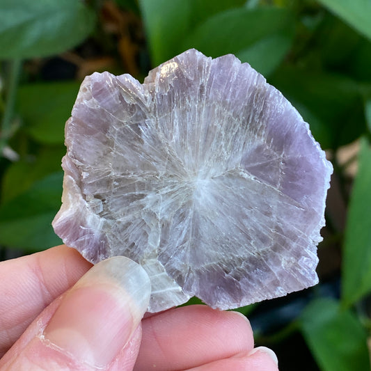 Purple Aragonite Crystal Slice, Spain