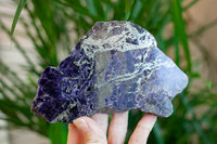 Purple Fluorite with Pyrite from Spain, New Deposit