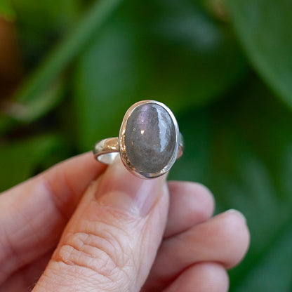 Lavender Labradorite Ring, Sterling Silver, Size 7