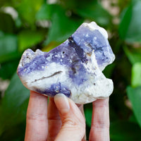 Morado Opal Slab, Purple Opal