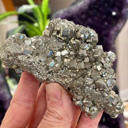 Pyrite, Pyritohedron Cluster, Peru