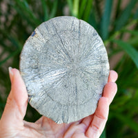 Pyrite Sun