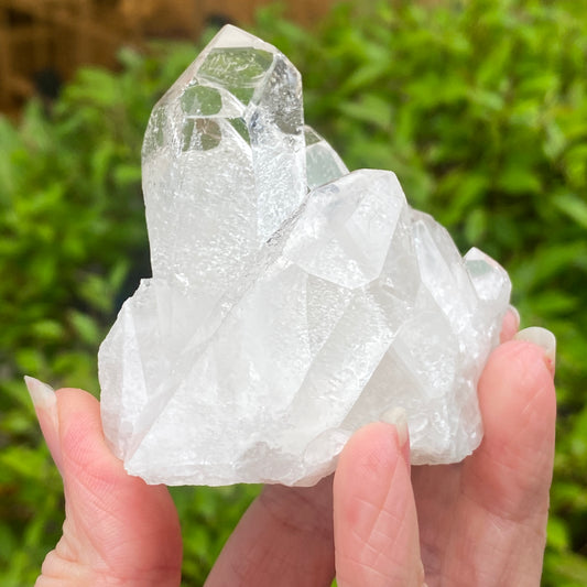 Quartz Cluster
