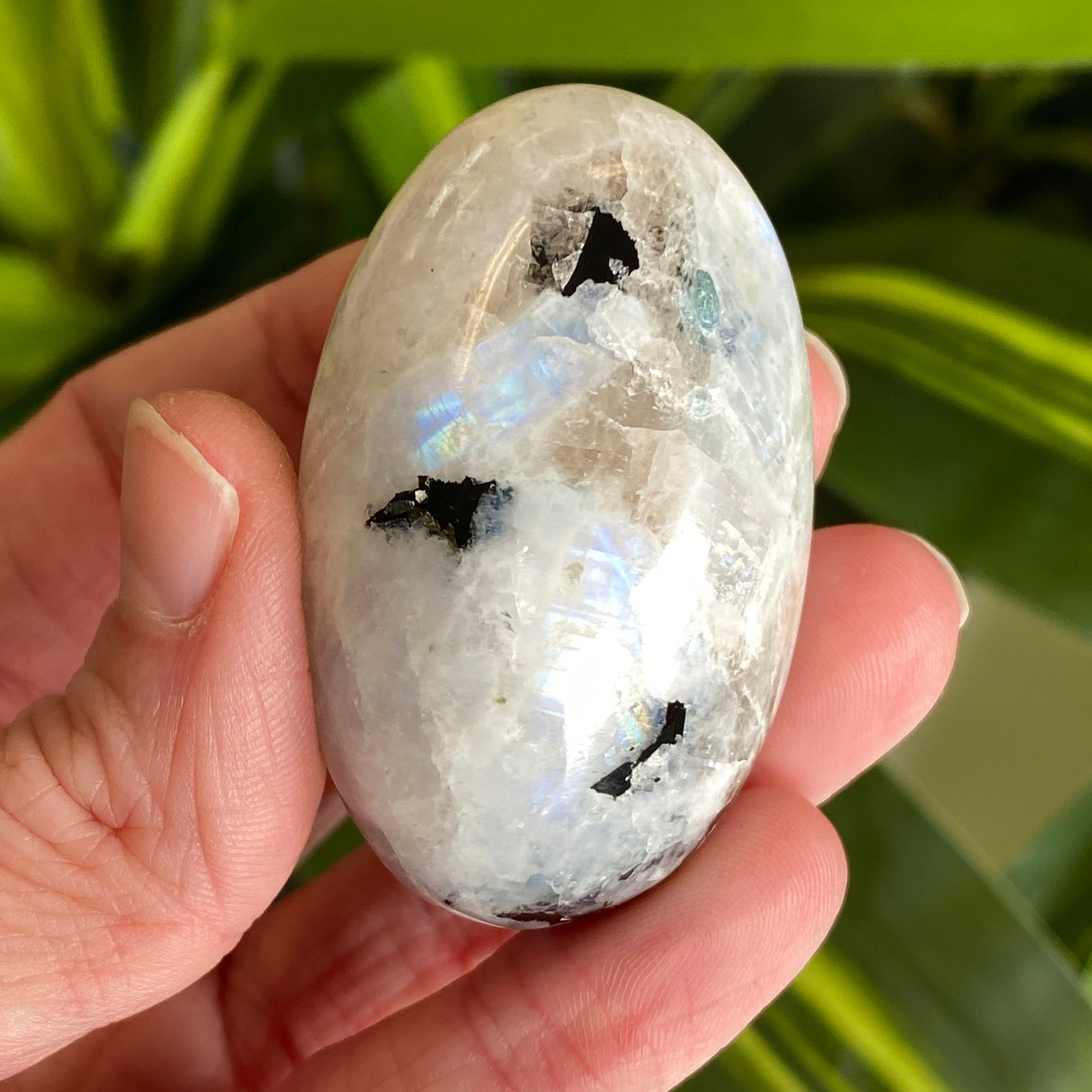 Moonstone Palm stone