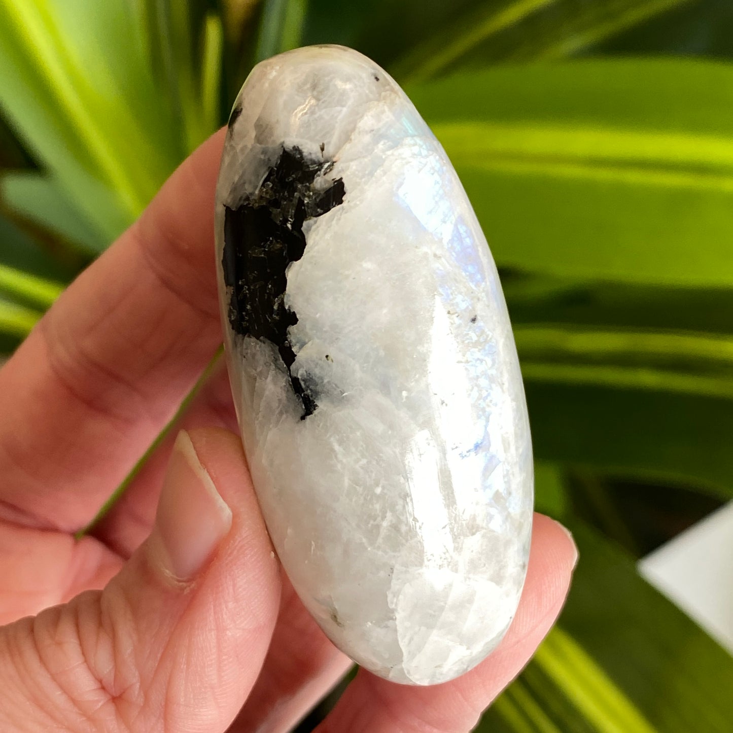 Moonstone Palm stone