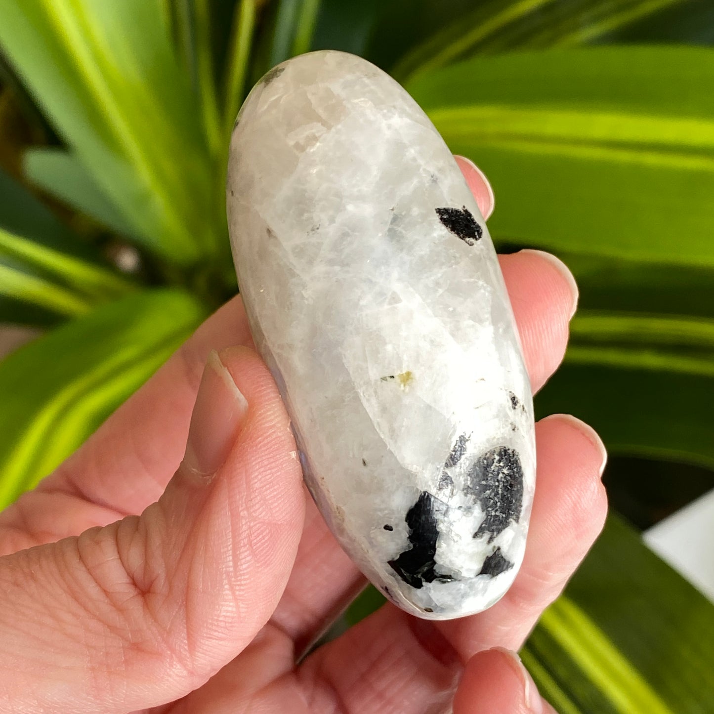 Moonstone Palm stone