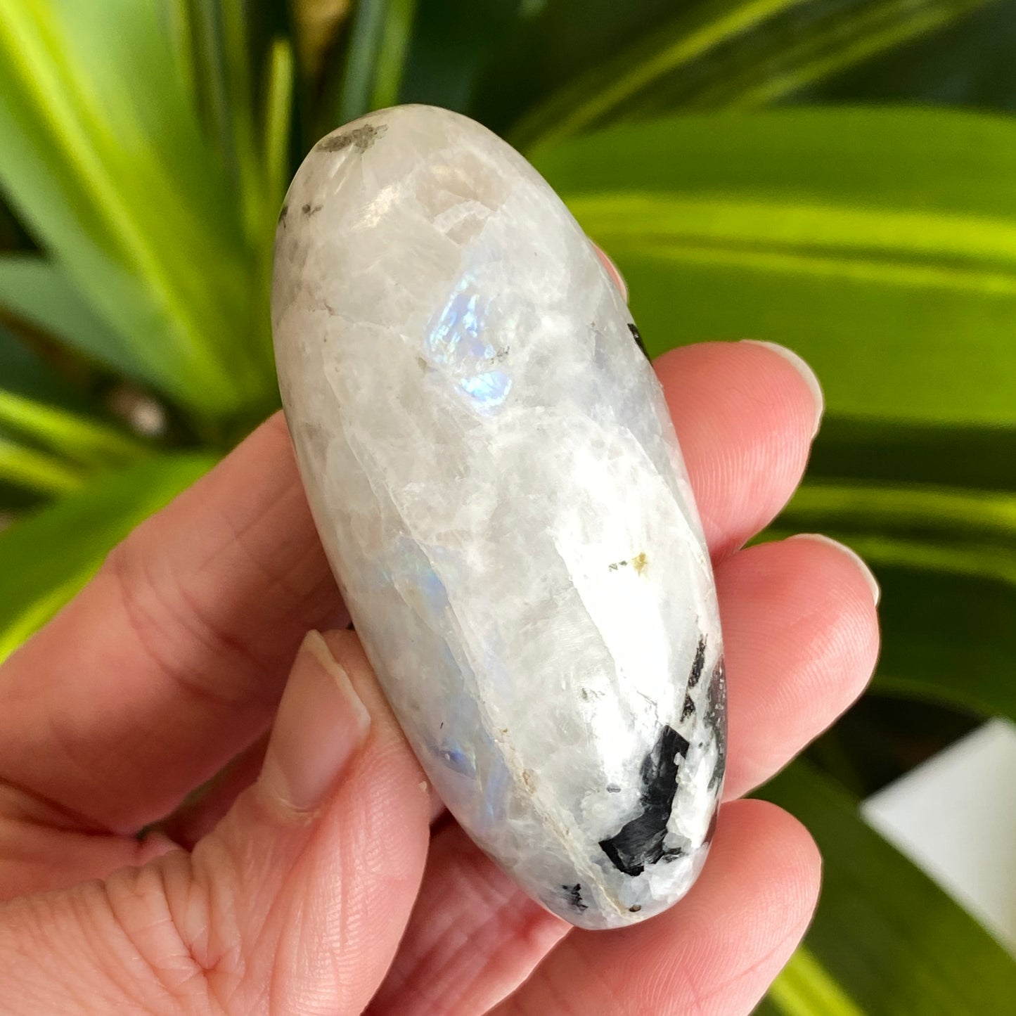 Moonstone Palm stone