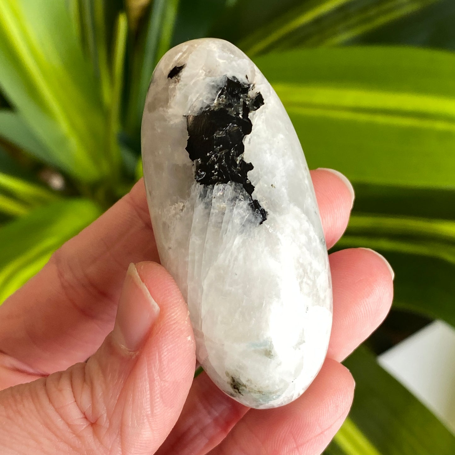 Moonstone Palm stone