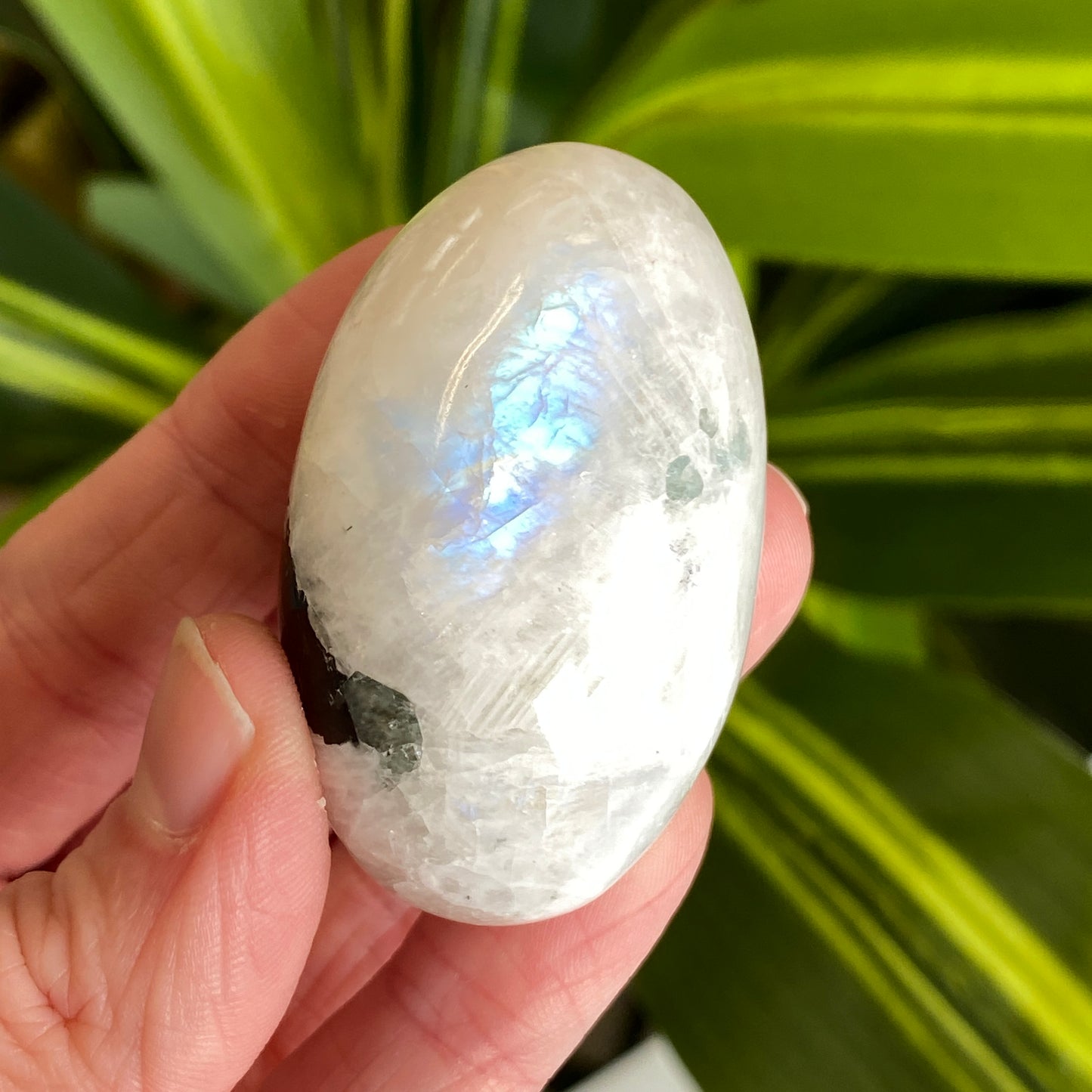 Moonstone Palm stone
