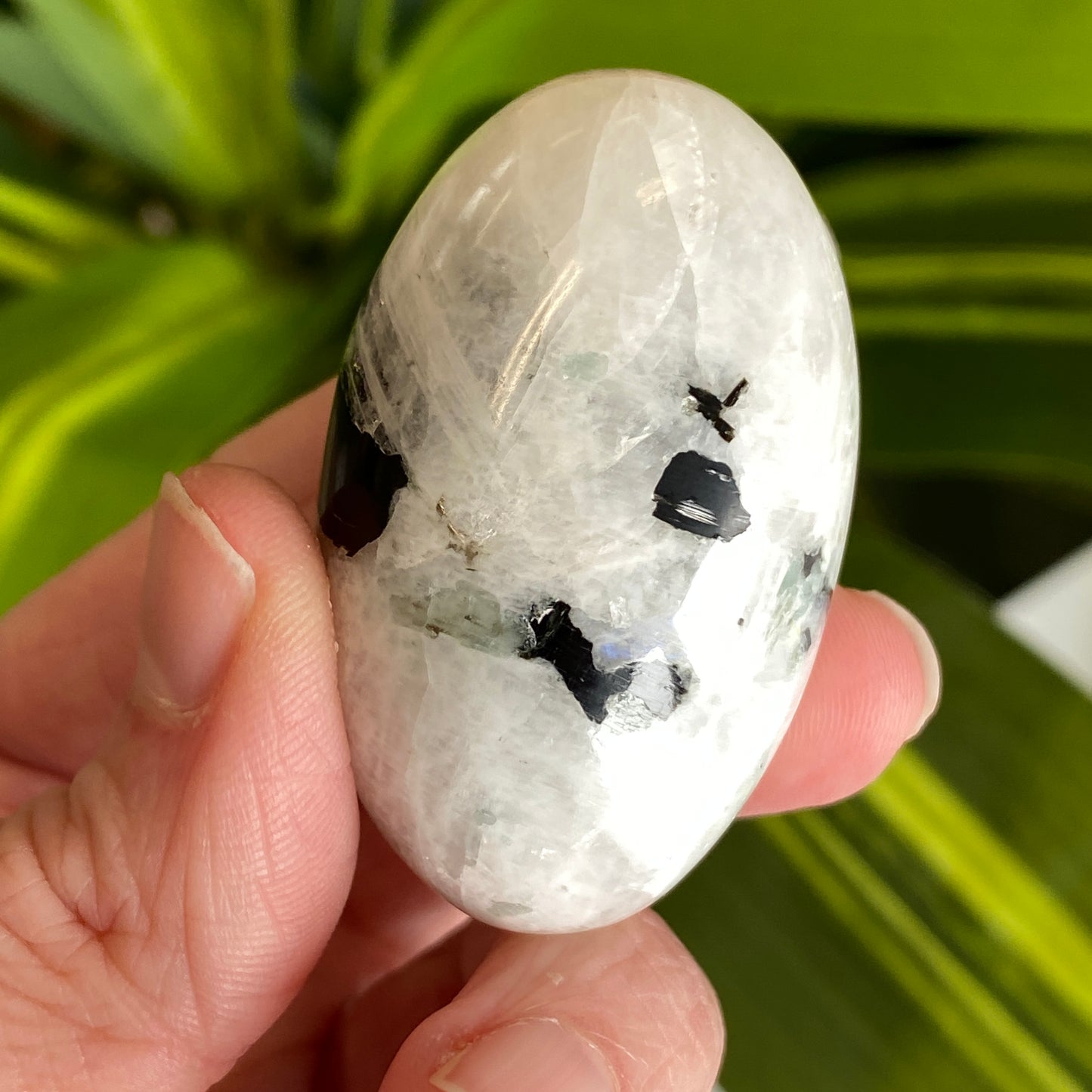 Moonstone Palm stone