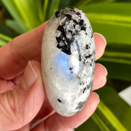 Moonstone Palm stone
