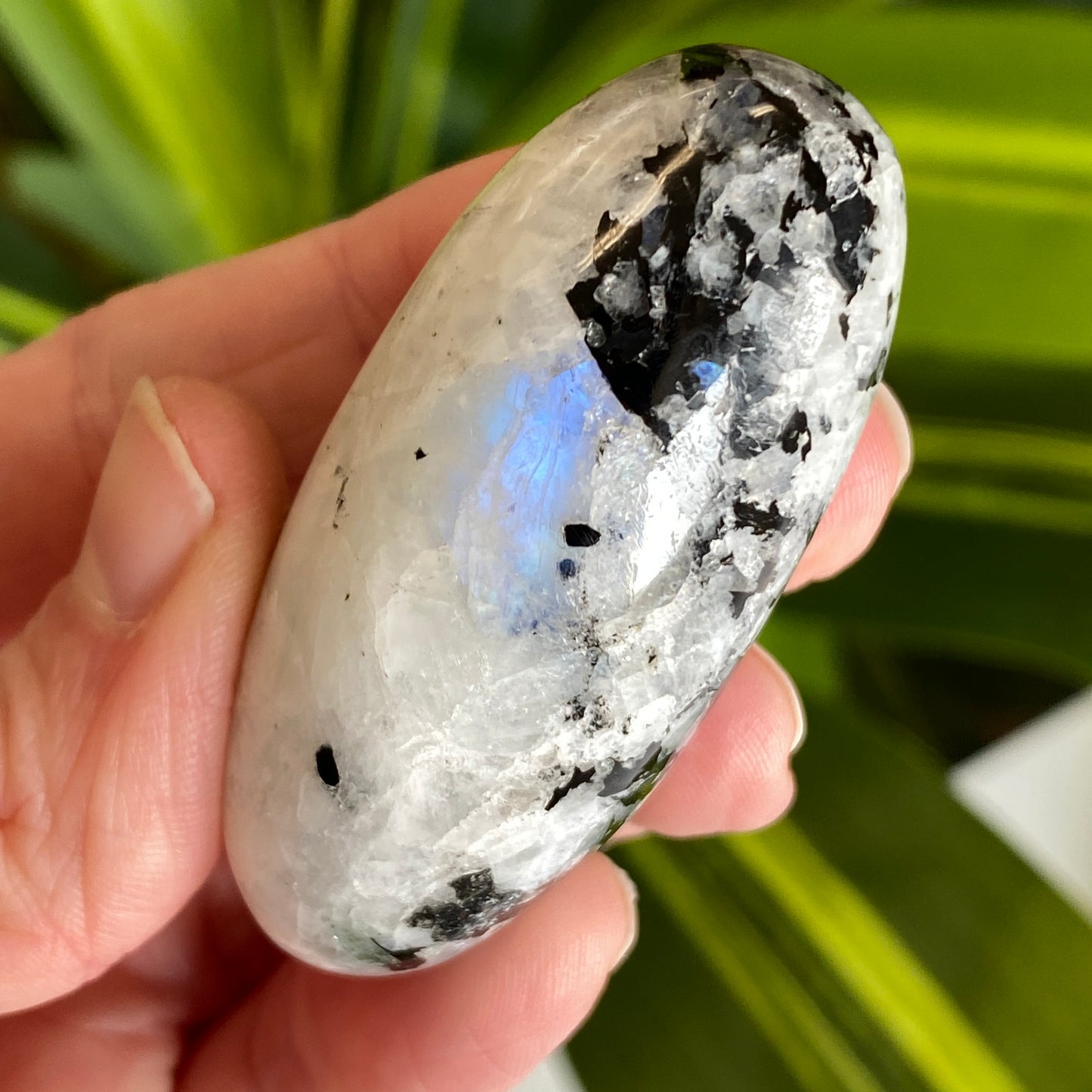 Moonstone Palm stone
