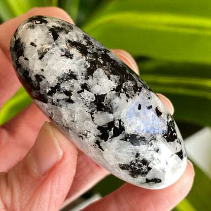 Moonstone Palm stone