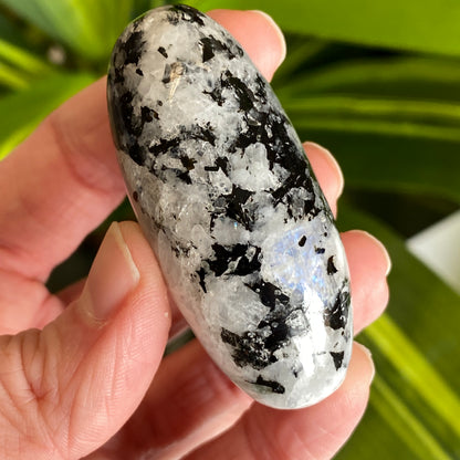 Moonstone Palm stone