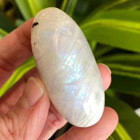 Moonstone Palm stone