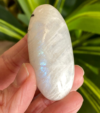 Moonstone Palm stone