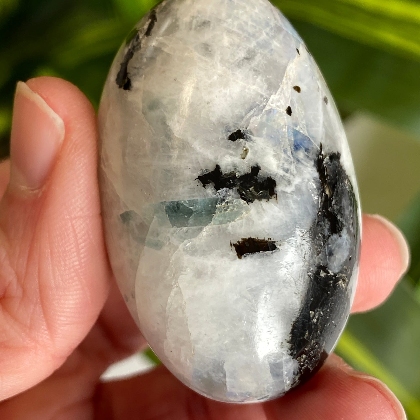 Moonstone Palm stone