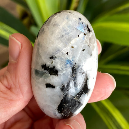 Moonstone Palm stone