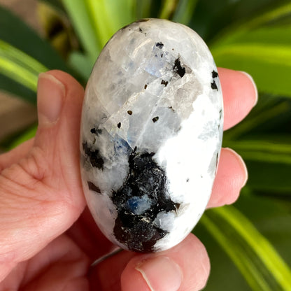 Moonstone Palm stone