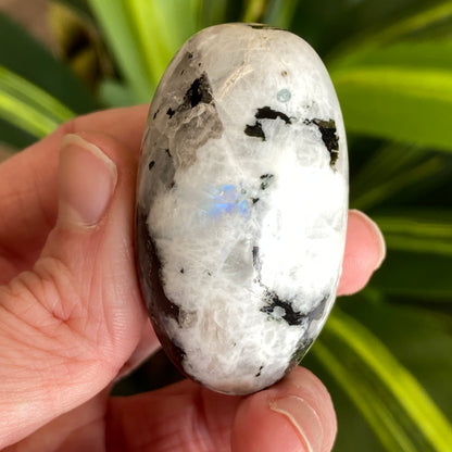 Moonstone Palm stone