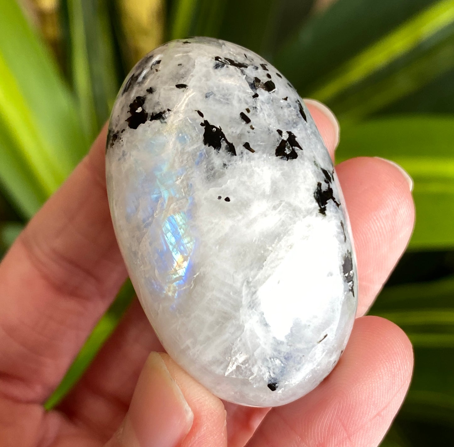 Moonstone Palm stone