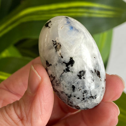 Moonstone Palm stone