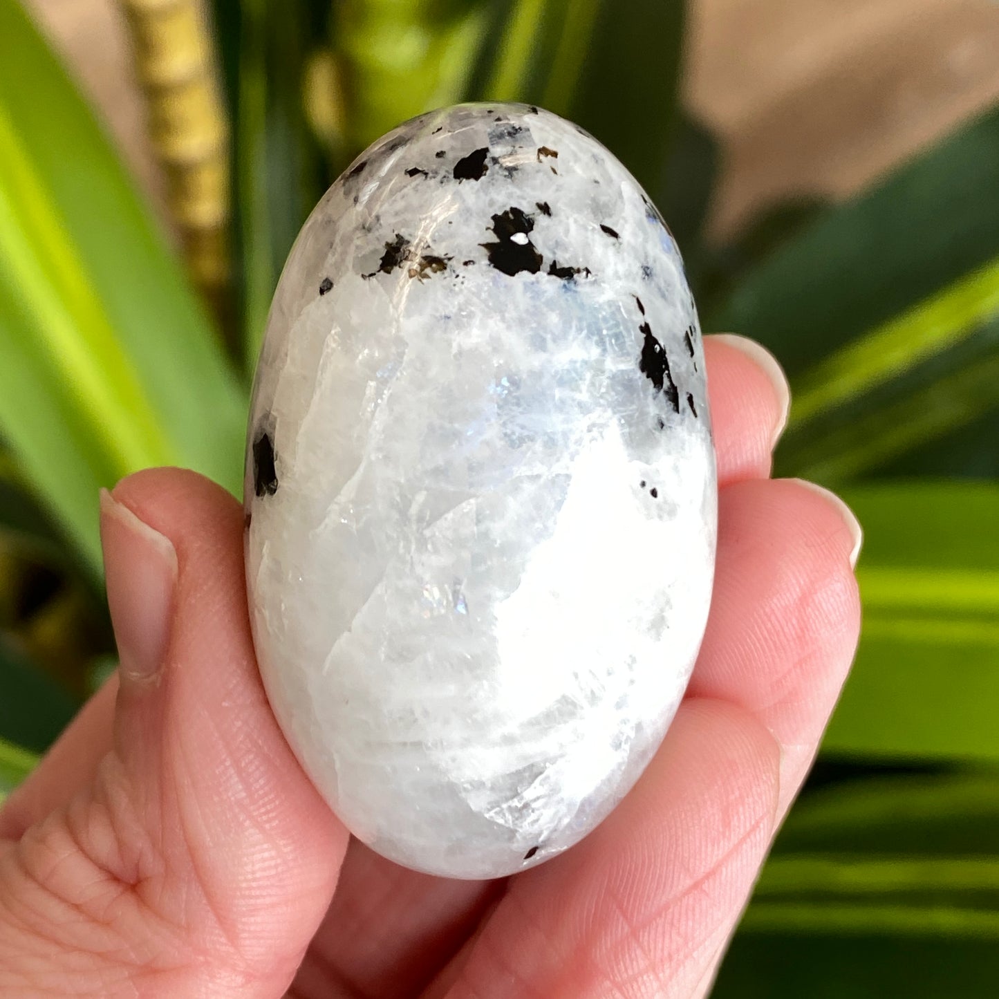 Moonstone Palm stone