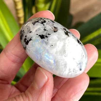 Moonstone Palm stone