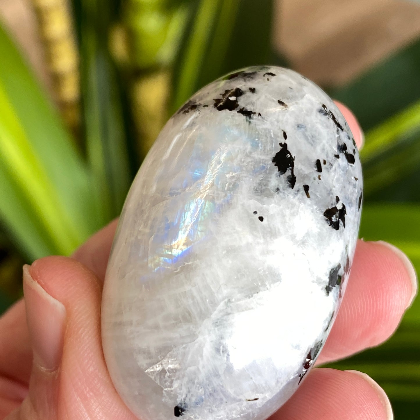 Moonstone Palm stone