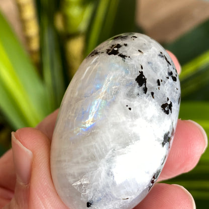 Moonstone Palm stone